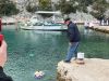 IMG-20241206-WA0012