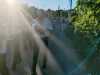 WhatsApp-Image-2026-06-12-at-21.28.13-5