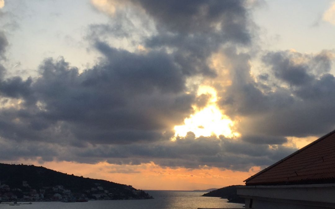 Jutro u viniškoj vali