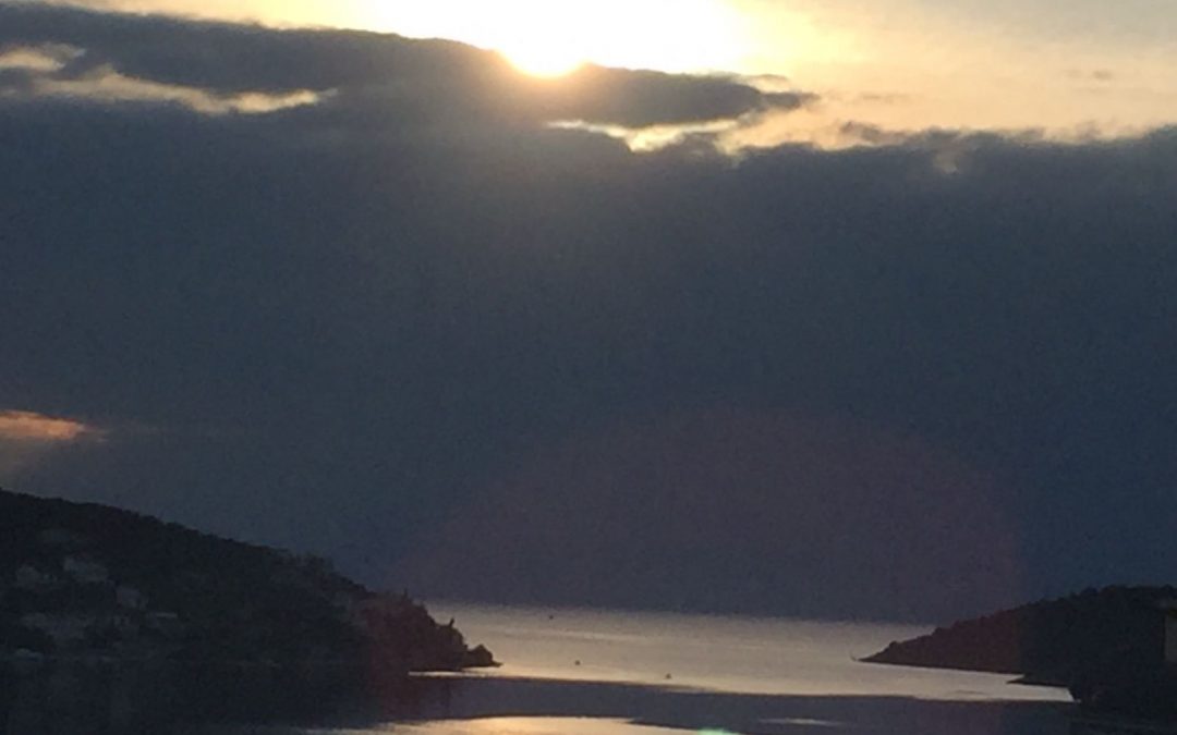 Jutro u viniškoj vali