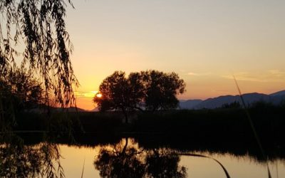 Duhovna misao, 13.07.2018.