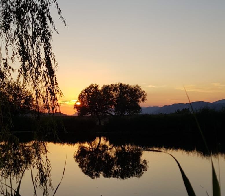 Duhovna misao, 13.07.2018.