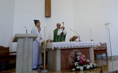 28. nedjelja kroz godinu