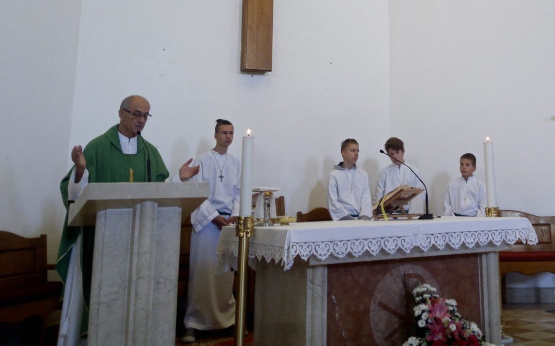 27. nedjelja kroz godinu / RUŽARICA