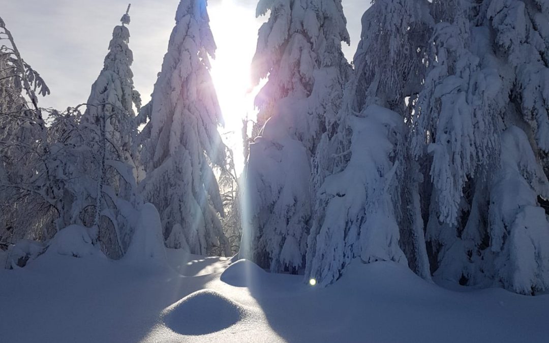 Duhovna misao, 21.01.2019.