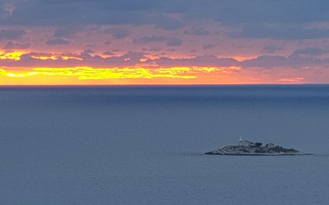 Duhovna misao, 31.01.2019.
