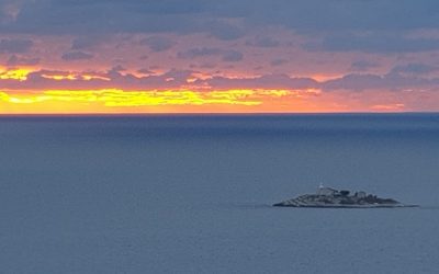 Duhovna misao, 31.01.2019.