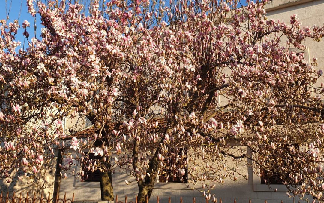Duhovna misao, 22.03.2019.