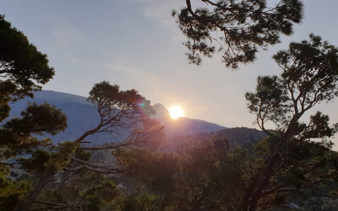 Duhovna misao, 03.04.2019.