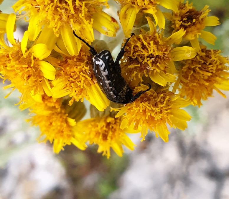 Duhovna misao, 05.06.2019.