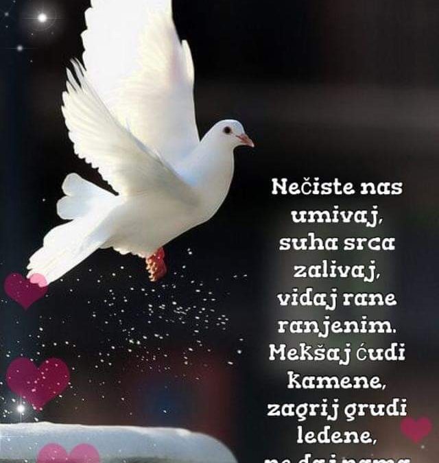 Duhovna misao, 10.06.2019.