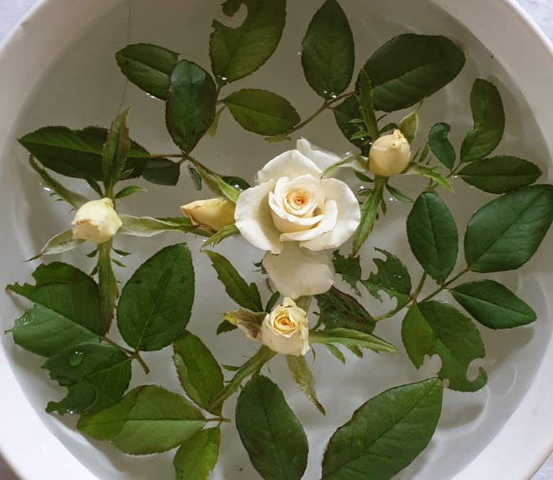 Duhovna misao, 08.07.2019.