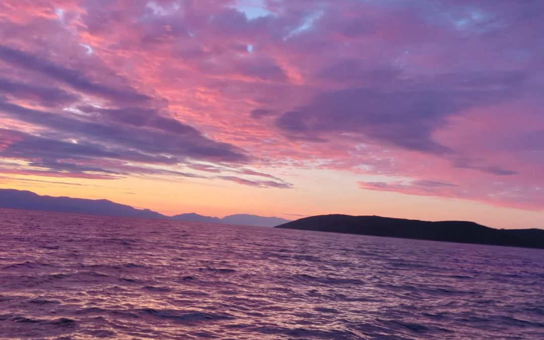 Božji tragovi, 12.07.2019.