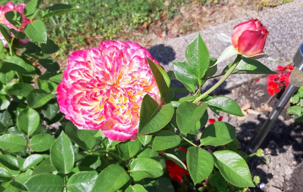 Duhovna misao, 29.07.2019.