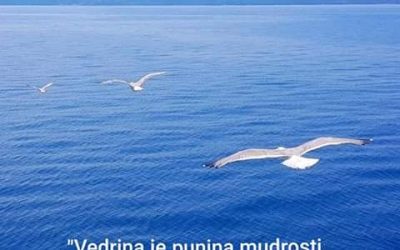 Duhovna misao, 09.08.2019.