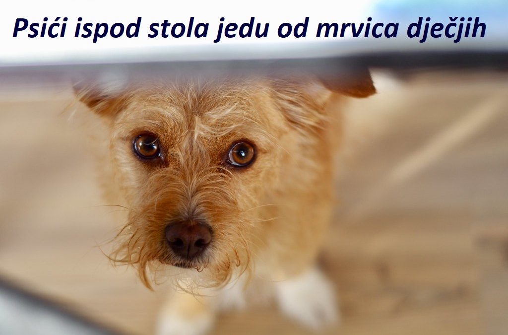 Duhovna misao, 13.02.2020.