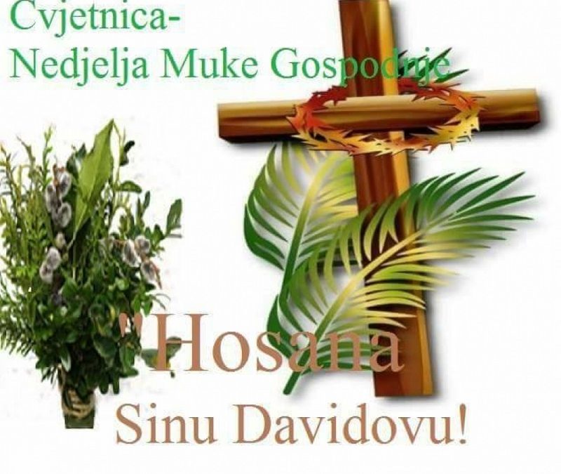 Na Cvjetnicu od 11h na ulazu u župnu crkvu biti će blagogoslovljene grančice masline pa možete doći i uzeti ih