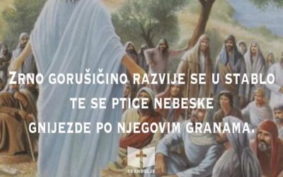 Duhovna misao, 27.07.2020.