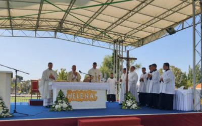 Propovijed nadbiskupa Marina Barišića u Solinu
