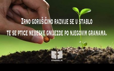 Evanđelje dana 26.7.2021.