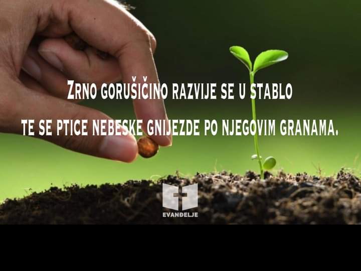 Evanđelje dana 26.7.2021.