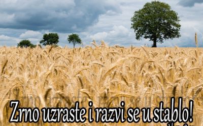 Evanđelje dana 26.10.2021.
