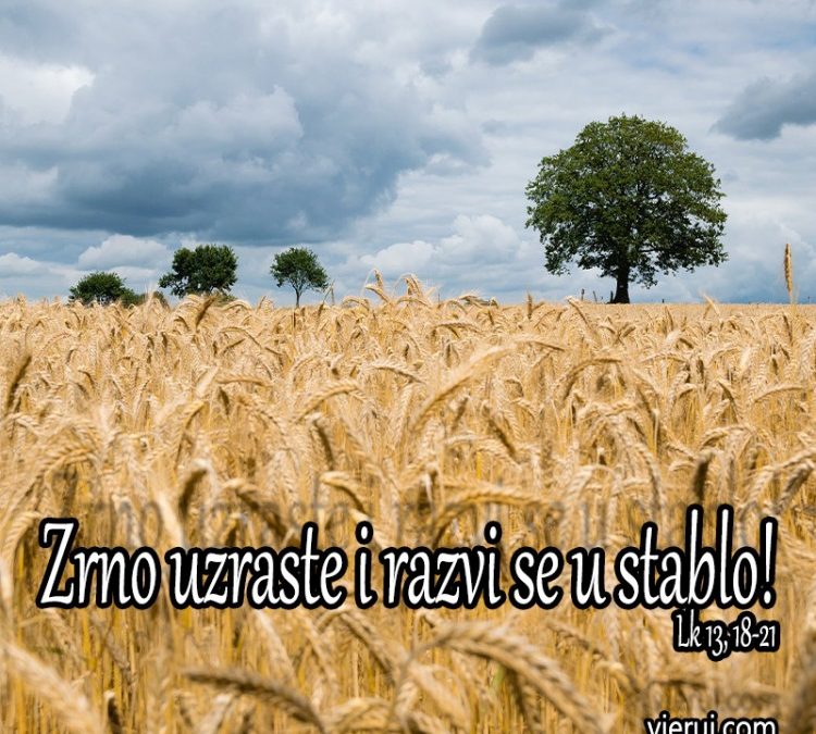 Evanđelje dana 26.10.2021.