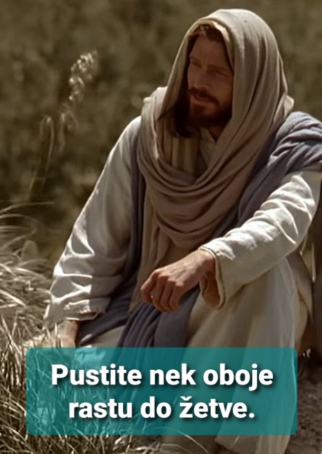 Evanđelje dana 23.7.2023.