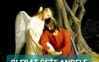Evanđelje dana 29.9.2023.