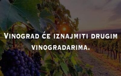 Evanđelje dana 8.10.2023.