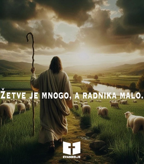 Evanđelje dana 8.7.2025.