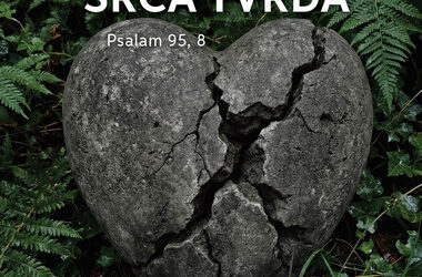 Tjedan solidarnosti i zajedništva s Crkvom i ljudima u BiH